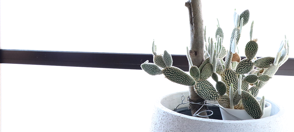 コンセプト＆こだわり